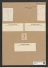 Eunotia amphidicranon Ehr. (de-Toni-Nr.: Genus 104, Species 3191) Zeichnungen Sammlung Grunow Nr. 6553 (NHMW-BOT-W0375281)